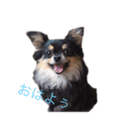 僕でにーろ。（個別スタンプ：4）