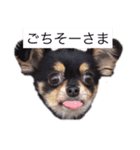 僕でにーろ。（個別スタンプ：14）
