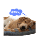 うちのムッさん（個別スタンプ：4）