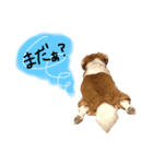 うちのムッさん（個別スタンプ：6）