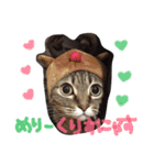 もふもふにゃんこのココたん＆禅くん（個別スタンプ：12）