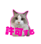 アリスとアビー（個別スタンプ：1）