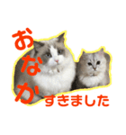 アリスとアビー（個別スタンプ：3）