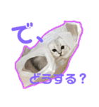 アリスとアビー（個別スタンプ：6）