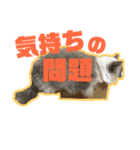 アリスとアビー（個別スタンプ：7）