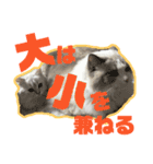 アリスとアビー（個別スタンプ：11）