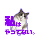 アリスとアビー（個別スタンプ：14）