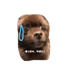 表情だらけ。（個別スタンプ：5）