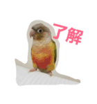 みんなのぱいんちゃん。（個別スタンプ：2）