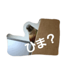 みんなのぱいんちゃん。（個別スタンプ：4）