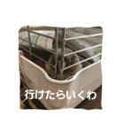 みんなのぱいんちゃん。（個別スタンプ：7）