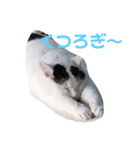 てんとふく（個別スタンプ：2）