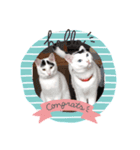 てんとふく（個別スタンプ：7）