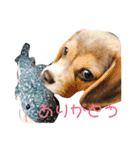 ビーグル犬 月ちゃん1（個別スタンプ：5）