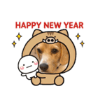ビーグル犬 月ちゃん1（個別スタンプ：16）