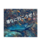 え？まだ買ってないの？皆使ってるよ？（個別スタンプ：1）