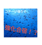 え？まだ買ってないの？皆使ってるよ？（個別スタンプ：4）