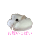 ちびだんごちゃんの日常（個別スタンプ：1）