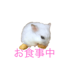 ちびだんごちゃんの日常（個別スタンプ：3）