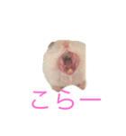 ちびだんごちゃんの日常（個別スタンプ：4）