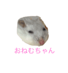 ちびだんごちゃんの日常（個別スタンプ：5）