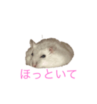 ちびだんごちゃんの日常（個別スタンプ：6）