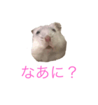 ちびだんごちゃんの日常（個別スタンプ：8）