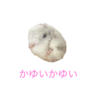 ちびだんごちゃんの日常（個別スタンプ：10）