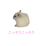 ちびだんごちゃんの日常（個別スタンプ：12）