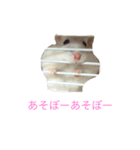 ちびだんごちゃんの日常（個別スタンプ：13）