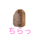 ちびだんごちゃんの日常（個別スタンプ：14）