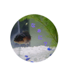 荒ぶる子(﹡'ᴗ'﹡)（個別スタンプ：4）