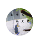 荒ぶる子(﹡'ᴗ'﹡)（個別スタンプ：11）