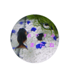 荒ぶる子(﹡'ᴗ'﹡)（個別スタンプ：12）