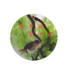荒ぶる子(﹡'ᴗ'﹡)（個別スタンプ：14）