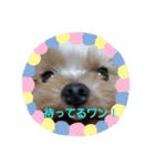 竜くんスタイル（個別スタンプ：3）