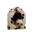 竜くんスタイル（個別スタンプ：6）