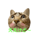 えるとべる（個別スタンプ：3）