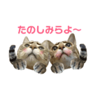 えるとべる（個別スタンプ：9）