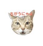 えるとべる（個別スタンプ：24）