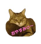 えるとべる（個別スタンプ：25）