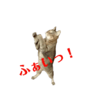 えるとべる（個別スタンプ：29）