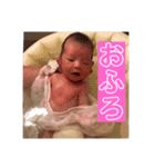 ★うちの子★（個別スタンプ：11）