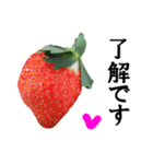 【実写】苺／いちご（個別スタンプ：1）