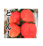 【実写】苺／いちご（個別スタンプ：3）
