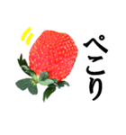 【実写】苺／いちご（個別スタンプ：27）