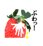 【実写】苺／いちご（個別スタンプ：33）