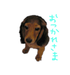 Cleo＆Figaro（個別スタンプ：3）