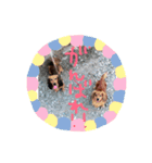 Cleo＆Figaro（個別スタンプ：5）