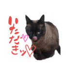 みーめとちょことわかな。（個別スタンプ：2）